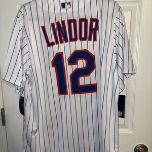 Francisco Lindor NY Mets White and Blue Striped Jersey